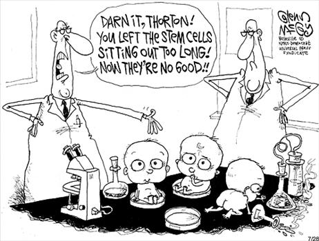 Stem Cell Cartoon